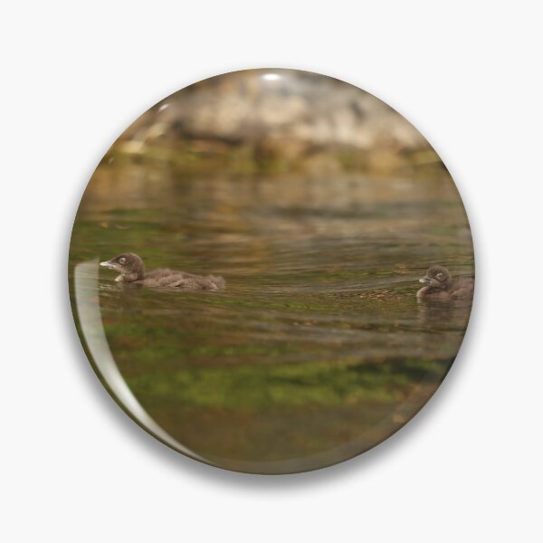Item preview, Baby loons designed and sold by Inlovewithloons.