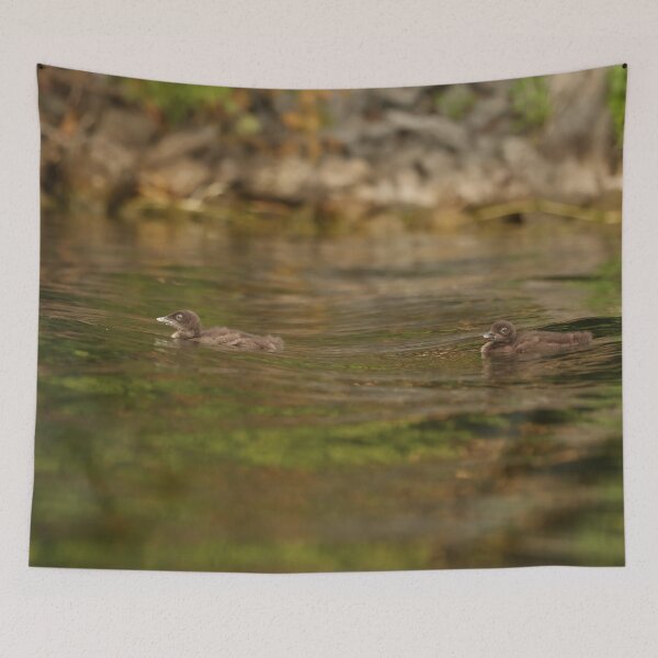 Item preview, Baby loons designed and sold by Inlovewithloons.