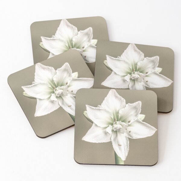 Item preview, Flower Power Pic 2 designed and sold by Ernie Steven Dickey.