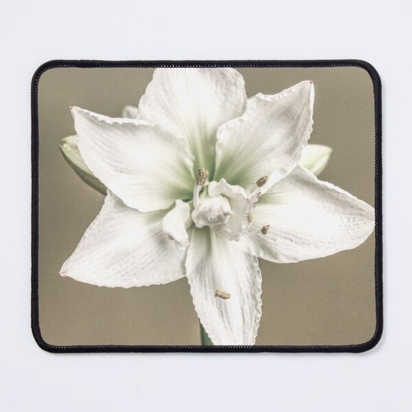 Item preview, Flower Power Pic 2 designed and sold by Ernie Steven Dickey.