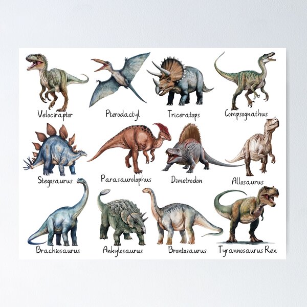 Item preview, Realistic Dinosaur chart with labeled type  names  designed and sold by Inktown.