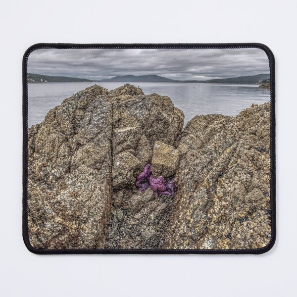 Item preview, Wild Vancouver Island designed and sold by Ernie Steven Dickey.