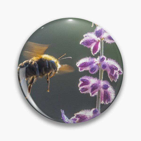 Item preview, Beehave designed and sold by Ernie Steven Dickey.