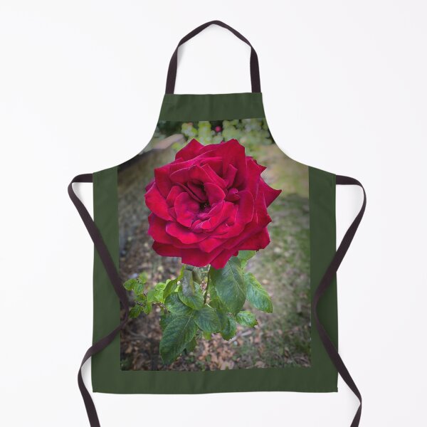 Item preview, Dymchurch Rose designed and sold by TonyCrehan.