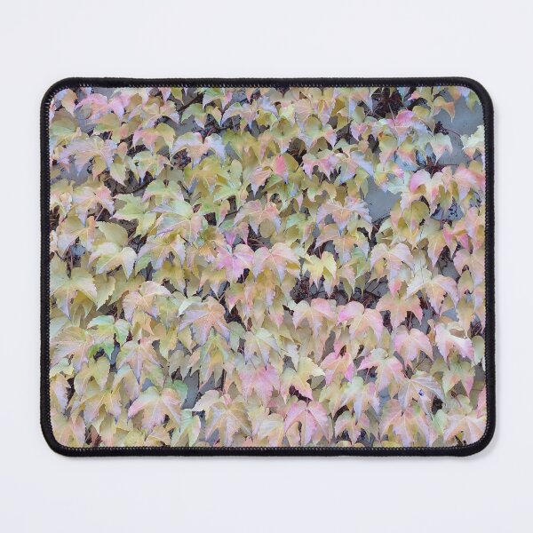 Item preview, Plants Valmadrera  designed and sold by GalgoArt.