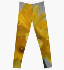 Daffodils Leggings