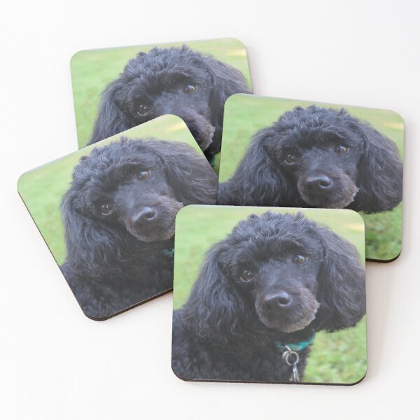 Item preview, Merveille the Toy Poodle 1 designed and sold by priesterjen.