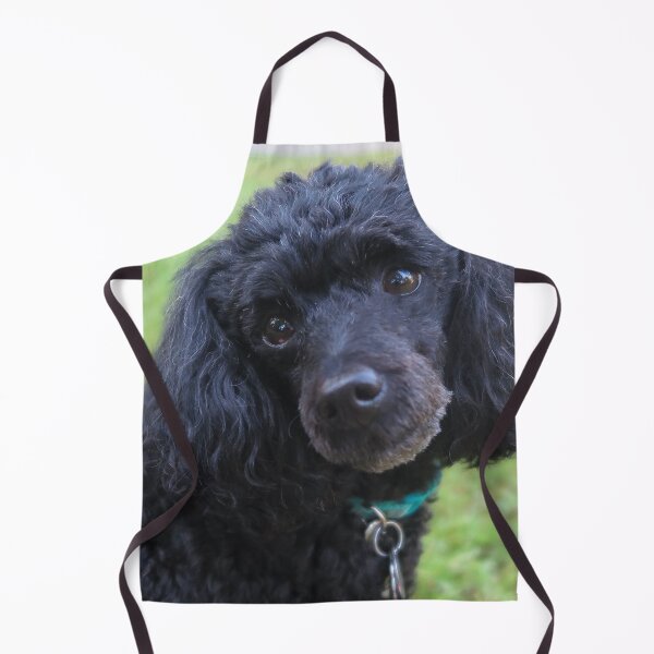 Item preview, Merveille the Toy Poodle 1 designed and sold by priesterjen.