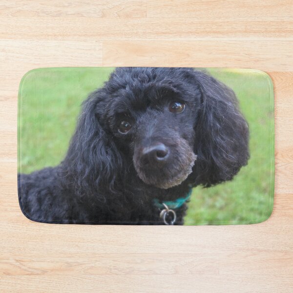 Item preview, Merveille the Toy Poodle 1 designed and sold by priesterjen.