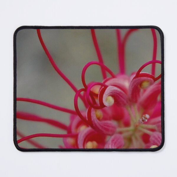 Item preview, Grevillia designed and sold by Penny Kittel.