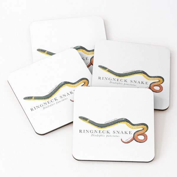 Item preview, Ringneck Snake  designed and sold by TheDrawingZoo.