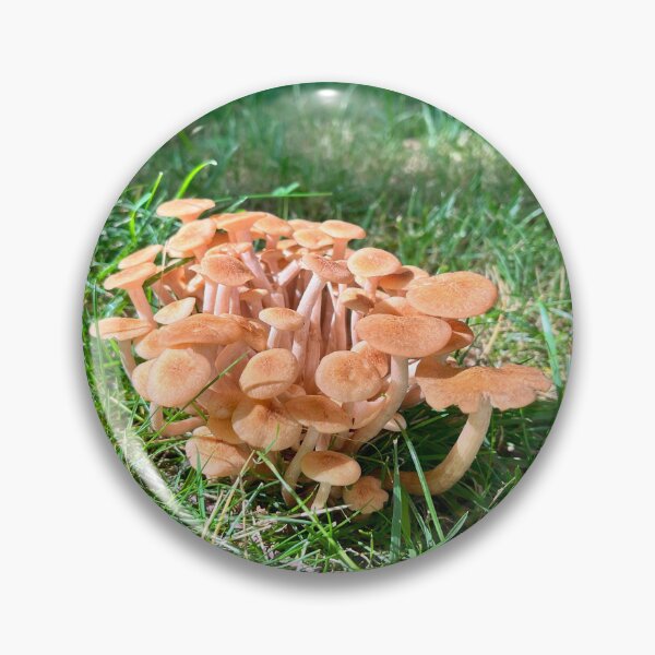 Item preview, Mushroom Cloud designed and sold by Jesse-Motzart.