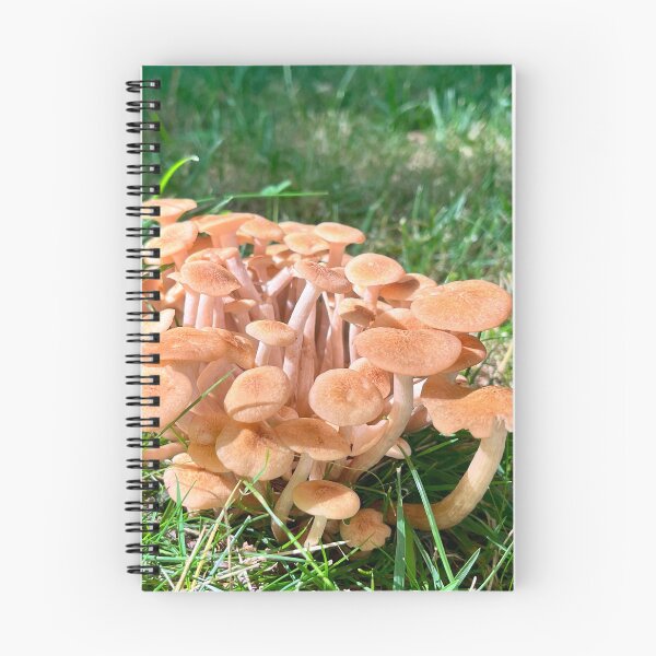 Item preview, Mushroom Cloud designed and sold by Jesse-Motzart.