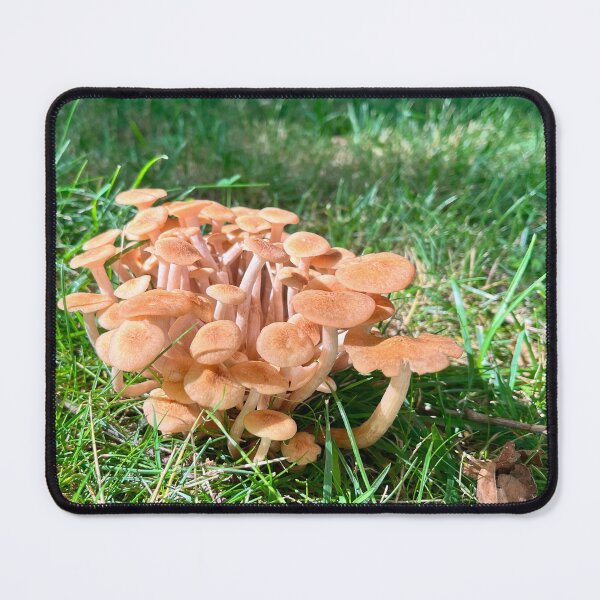 Item preview, Mushroom Cloud designed and sold by Jesse-Motzart.
