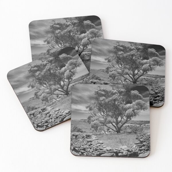 Item preview, Hampton Tree designed and sold by Penny Kittel.