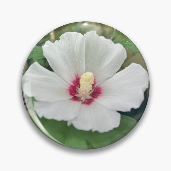 Item preview, Single Beauty designed and sold by Jesse-Motzart.