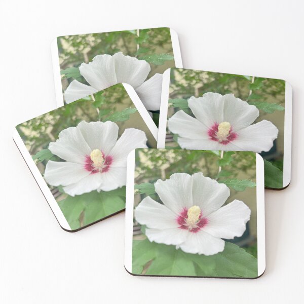 Item preview, Single Beauty designed and sold by Jesse-Motzart.