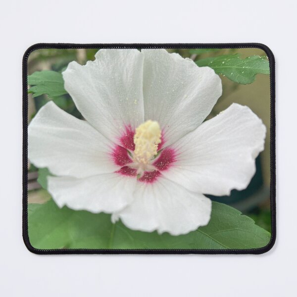 Item preview, Single Beauty designed and sold by Jesse-Motzart.