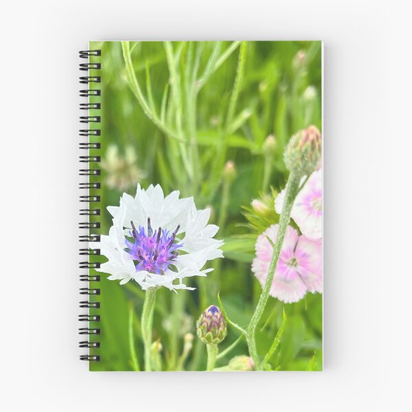 Item preview, Splash of Color designed and sold by Jesse-Motzart.