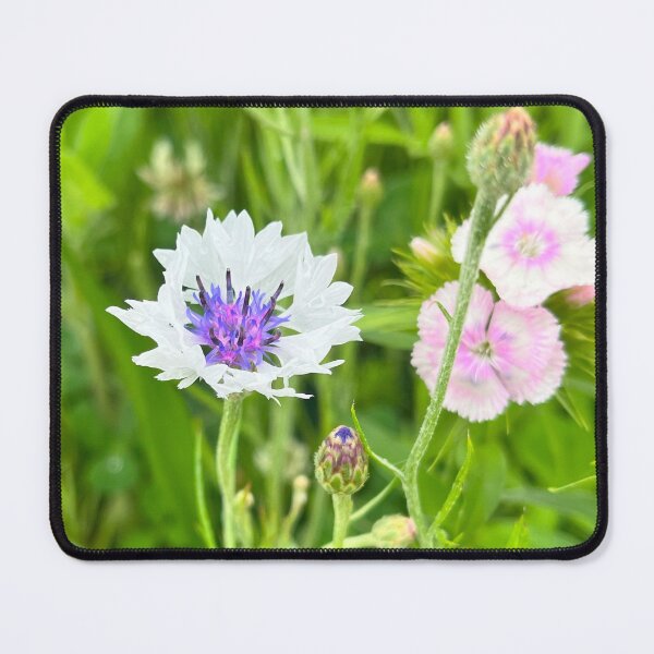 Item preview, Splash of Color designed and sold by Jesse-Motzart.