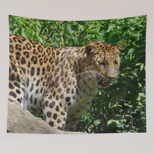 Item preview, Leopard 1 designed and sold by priesterjen.