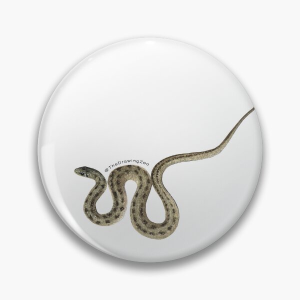 Item preview, DeKay's Brown Snake designed and sold by TheDrawingZoo.