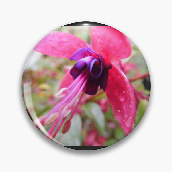 Artikelvorschau, Fuchsia Blume mit Wassertropfen entworfen und verkauft von priesterjen.