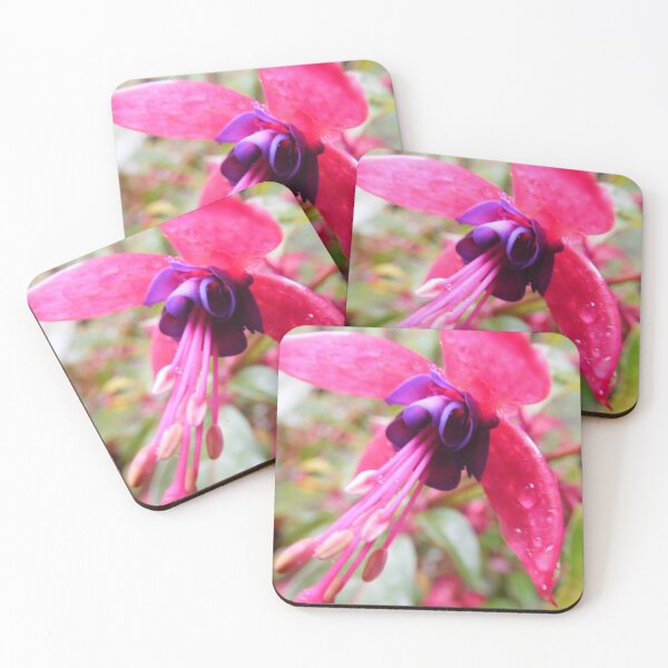 Artikelvorschau, Fuchsia Blume mit Wassertropfen entworfen und verkauft von priesterjen.