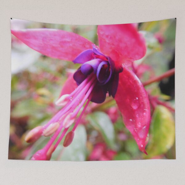 Artikelvorschau, Fuchsia Blume mit Wassertropfen entworfen und verkauft von priesterjen.
