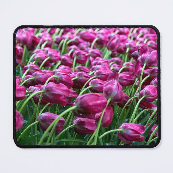 Item preview, Bowing tulips designed and sold by tazbert.