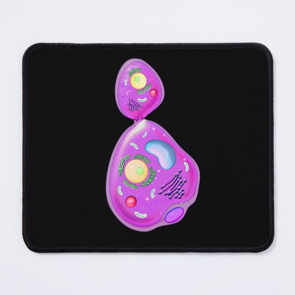 Item preview, Funglob designed and sold by Pebbledrops.