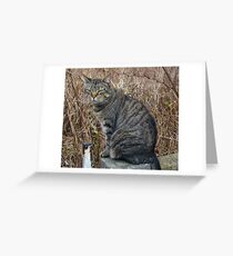 Marmite Greeting Card
