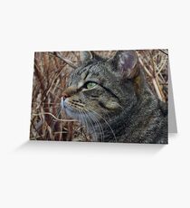 Marmite Greeting Card