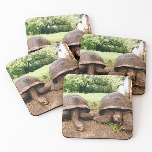 Item preview, Giant Tortoises, Zanzibar, Africa designed and sold by JonDelorme.
