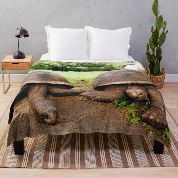 Item preview, Giant Tortoises, Zanzibar, Africa designed and sold by JonDelorme.
