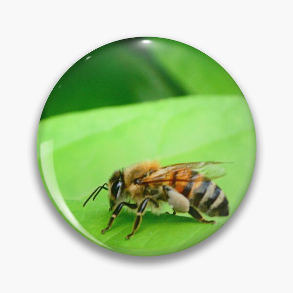 Item preview, Honeybee with pollen on green leaf designed and sold by angel1.