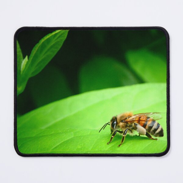 Item preview, Honeybee with pollen on green leaf designed and sold by angel1.