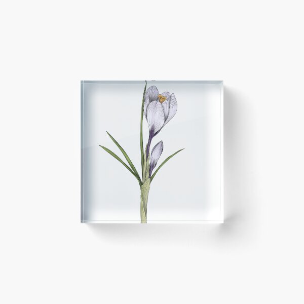 Item preview, Crocus designed and sold by TasiaZenzura.