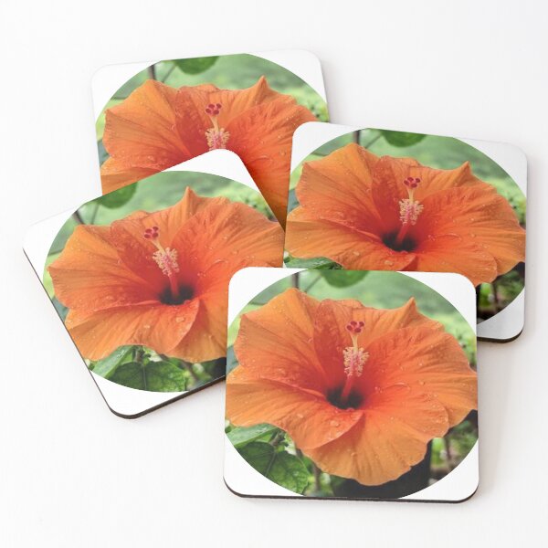 Item preview, Orange Hibiscus designed and sold by kifayat22.
