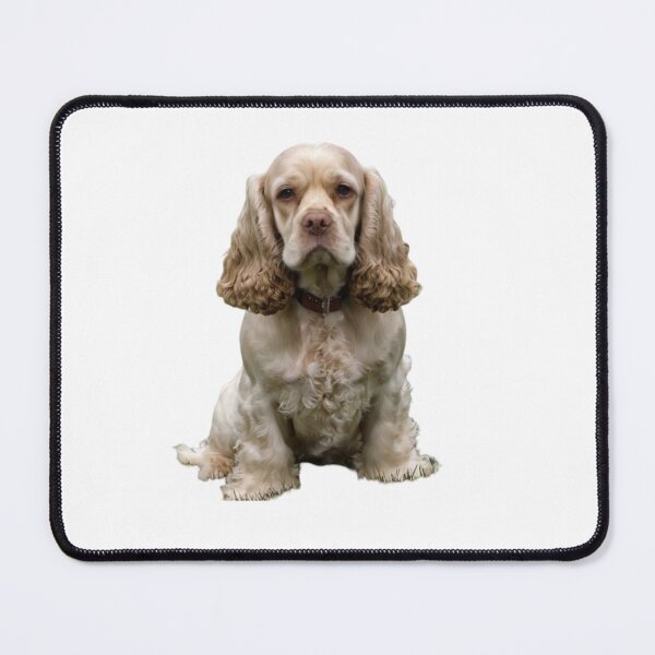 Item preview, American Cocker Spaniel designed and sold by SOUFIANE1991.