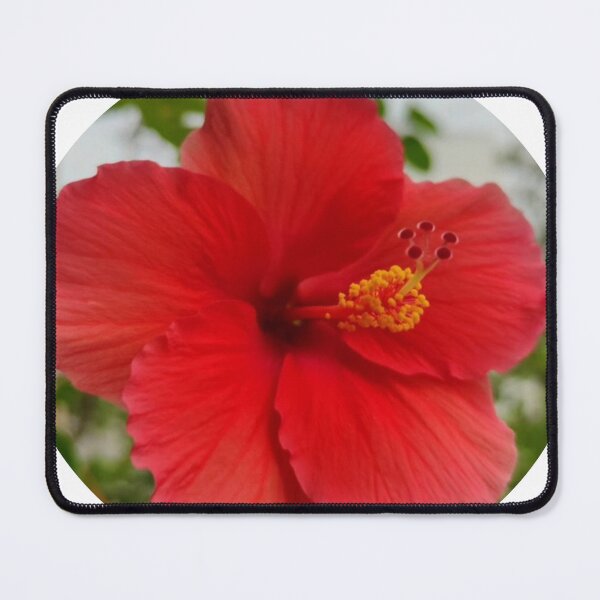 Item preview, Hibiscus designed and sold by Sangeeta Art Co..