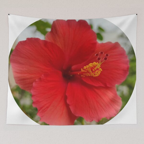 Item preview, Hibisco designed and sold by Sangeeta Art Co..