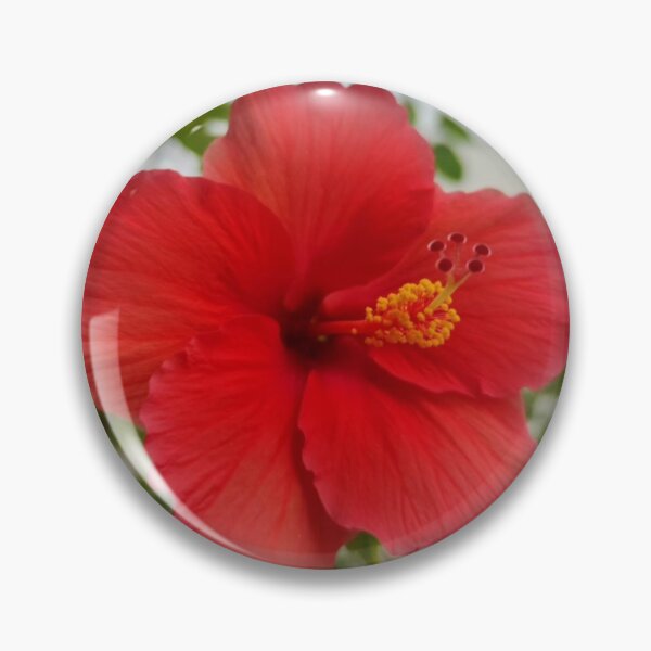 Item preview, Hibiscus designed and sold by Sangeeta Art Co..