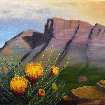Artwork thumbnail, Looking across to Bluff Knoll, Western Australia by Kelly Logan