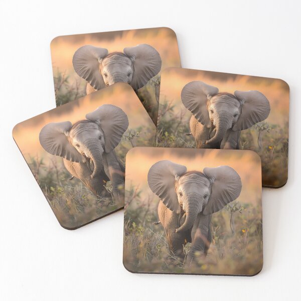 Artikelvorschau, Elefantenbaby, Tierwelt, Tierfotografie, Afrika, Zoo, Zootiere, Wilde Tiere entworfen und verkauft von Lumora.Studio.
