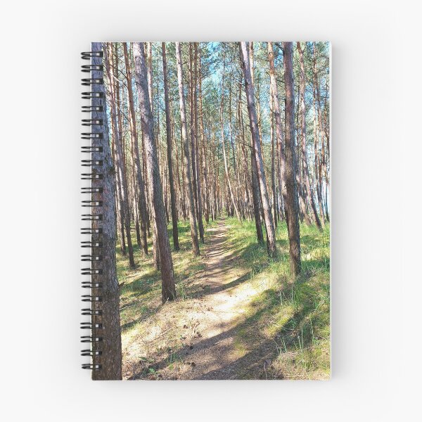 Item preview, summer forest designed and sold by colorgallery11.