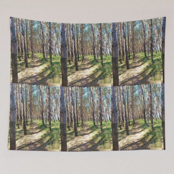 Item preview, summer forest designed and sold by colorgallery11.