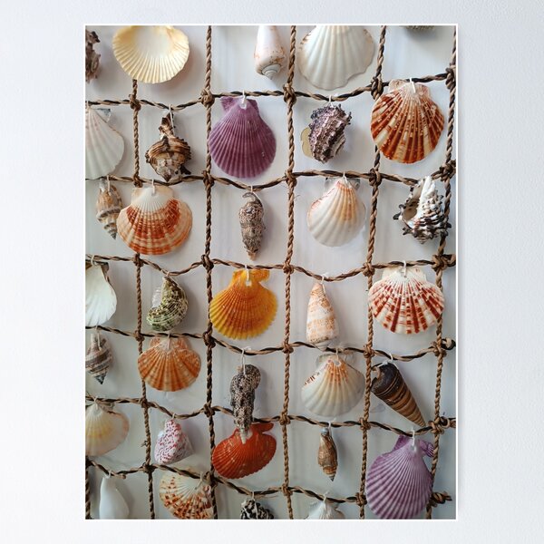 Item preview, seashell designed and sold by colorgallery11.