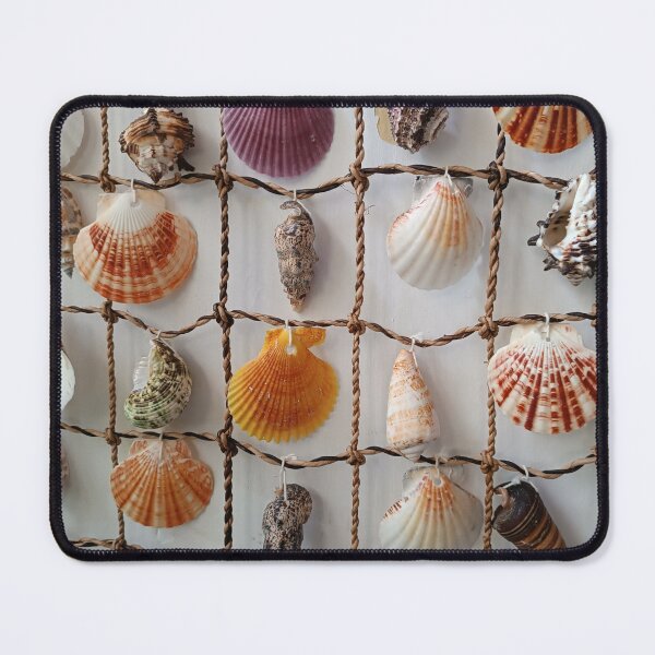 Item preview, seashell designed and sold by colorgallery11.