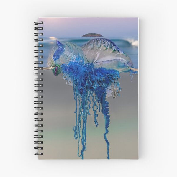 Item preview, Portuguese man o' war (Physalia physalis) Bottle Jelly Fish designed and sold by Normf.